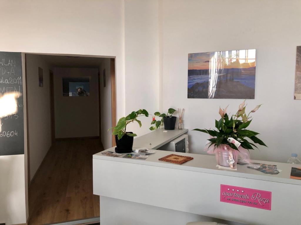 Roza Apartment Pula